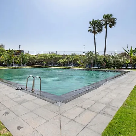 Fantastic Verano * サンミゲル・デ・アボナ